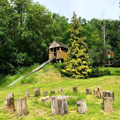 Harz Bild 5